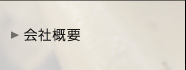 ЊTv